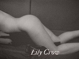 Lily_Crow