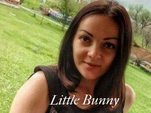 Little_Bunny_