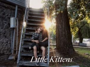 Little_Kittens