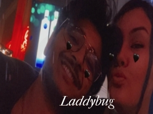 Laddybug