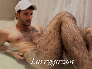 Larrygarzon