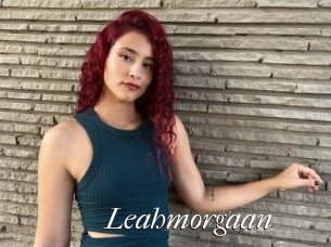 Leahmorgaan