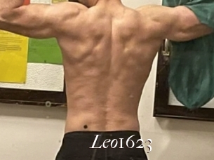 Leo1623