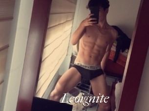 Leoignite