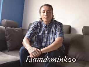 Liamdomink20