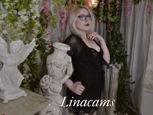 Linacams