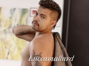 Luccamallard