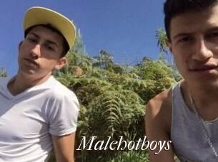 Malehotboys