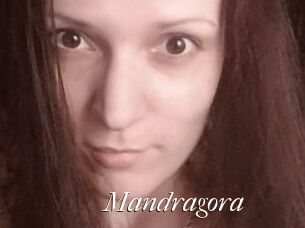 Mandragora