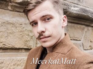 MeerkatMatt