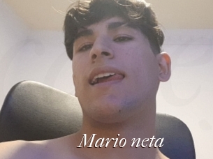 Mario_neta