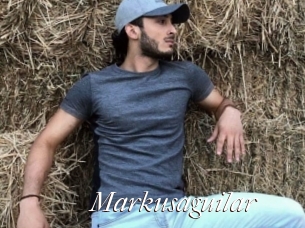 Markusaguilar