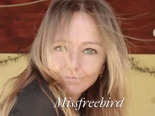 Missfreebird