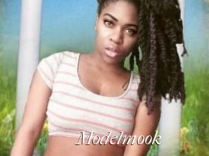 Modelmook