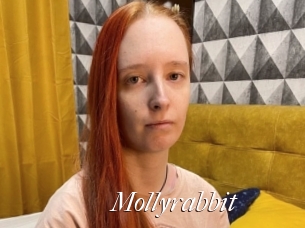 Mollyrabbit