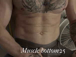 Muscle_bottom25