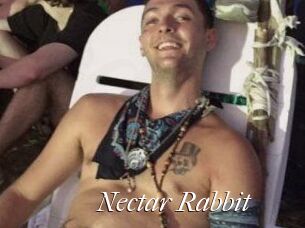 Nectar_Rabbit