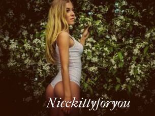 Nicekittyforyou