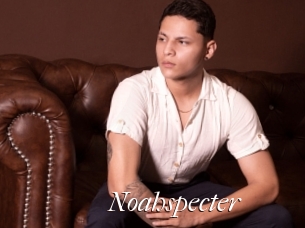 Noahspecter