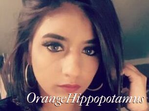 OrangeHippopotamus