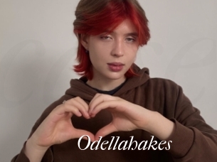 Odellahakes