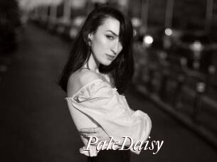 PaleDaisy Cam Sexy