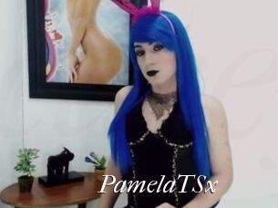 PamelaTSx