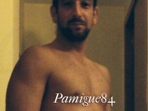 Pamigue84