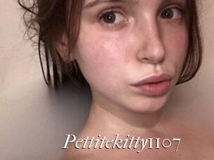 Pettitekitty1107