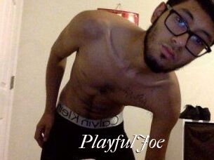 PlayfulJoe