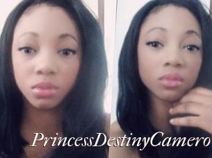 PrincessDestinyCamero