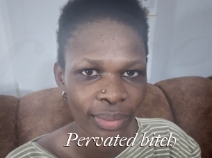 Pervated_bitch