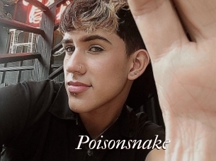 Poisonsnake