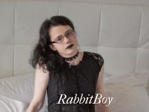 RabbitBoy