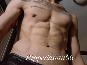 Rippedasian66