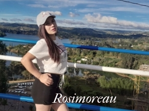 Rosimoreau