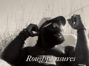 Roughpleasures