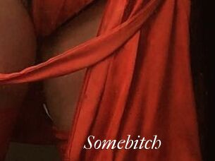 Somebitch