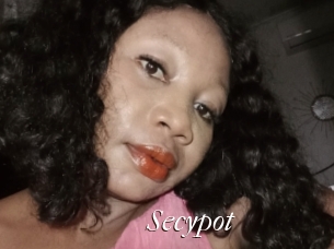 Secypot