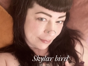 Skylar_bird