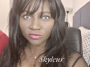 Skyleur