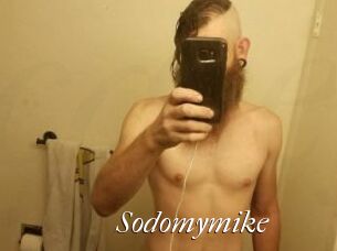 Sodomymike