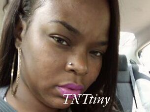 T_N_Ttiny