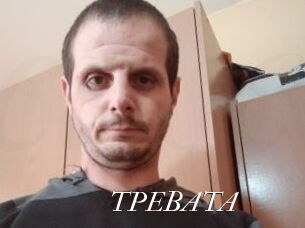 TPEBATA