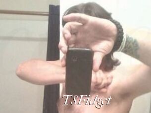 TSFidget