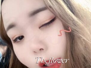 Theflower Cam Sexy