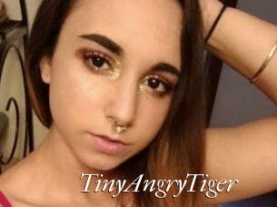 TinyAngryTiger
