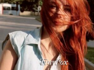 TinyFox