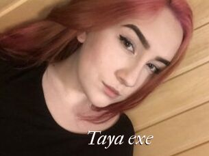 Taya_exe