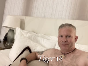 Tiger_18